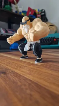 MutenRoshi whole body