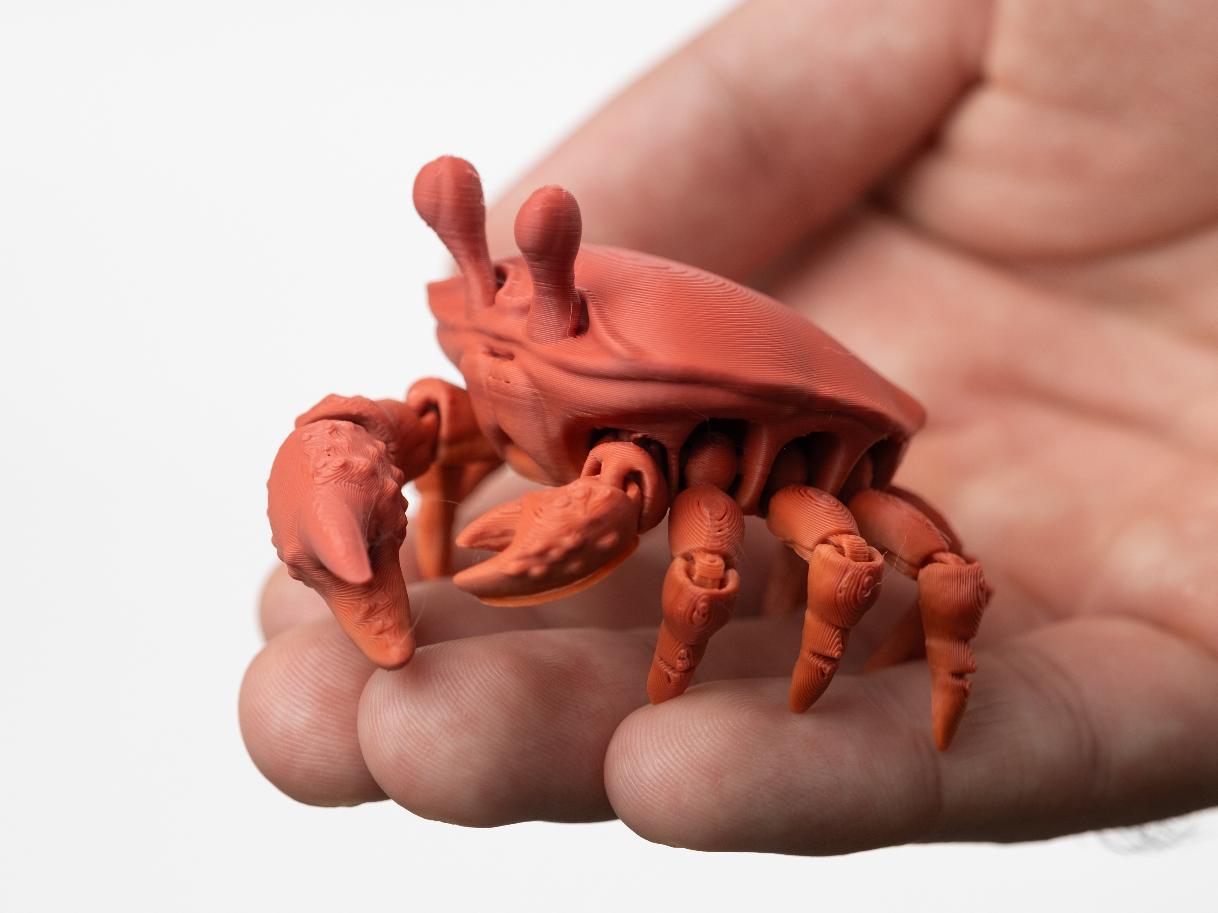 Flexi Fiddler Crab - 1