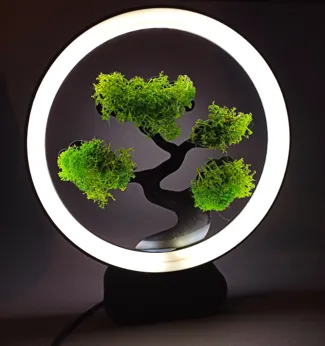 Moss lamp