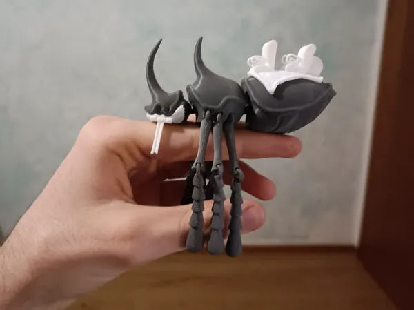 https://makerworld.bblmw.com/makerworld/model/US3a1c9e92bf3a53/design/2025-12-07_5379175176ae4.jpg