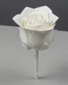 0.12mm layer, 2 walls, 15% infill