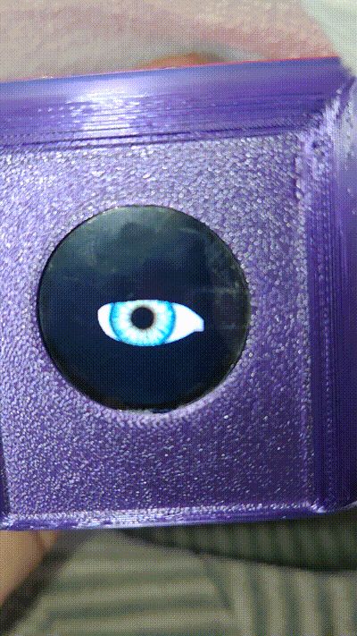 电子眼球小盒（其实只是个屏幕盒子）