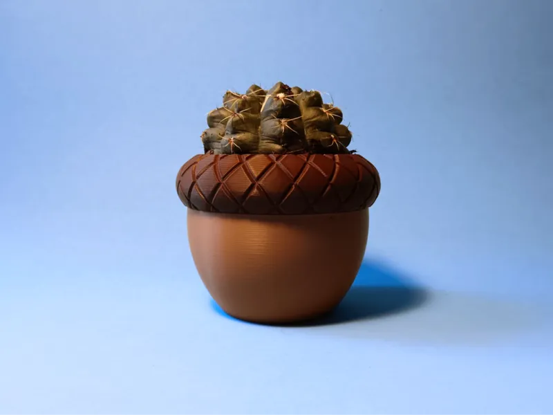 Acorn Plant Pot