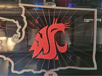 WSU Cougs Suspended