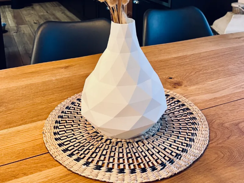 Vaso Low Poly
