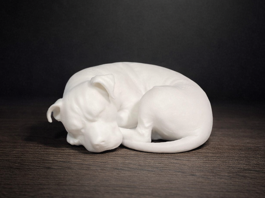 Cute Sleeping American PitBull terrier - dog