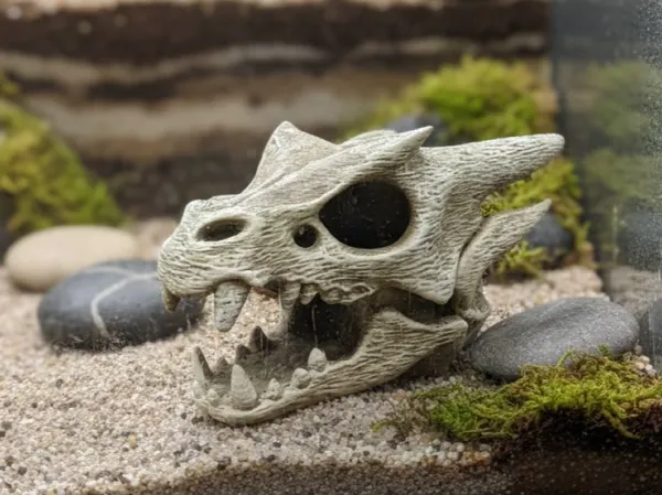https://makerworld.bblmw.com/makerworld/model/US3a33a73b995d60/design/2026-01-04_51589840495028.jpg