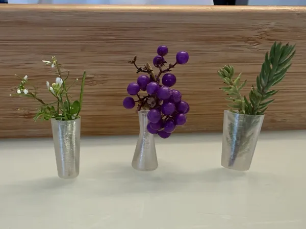 https://makerworld.bblmw.com/makerworld/model/US3a35de038d185/design/870557fd78973ff6.jpeg