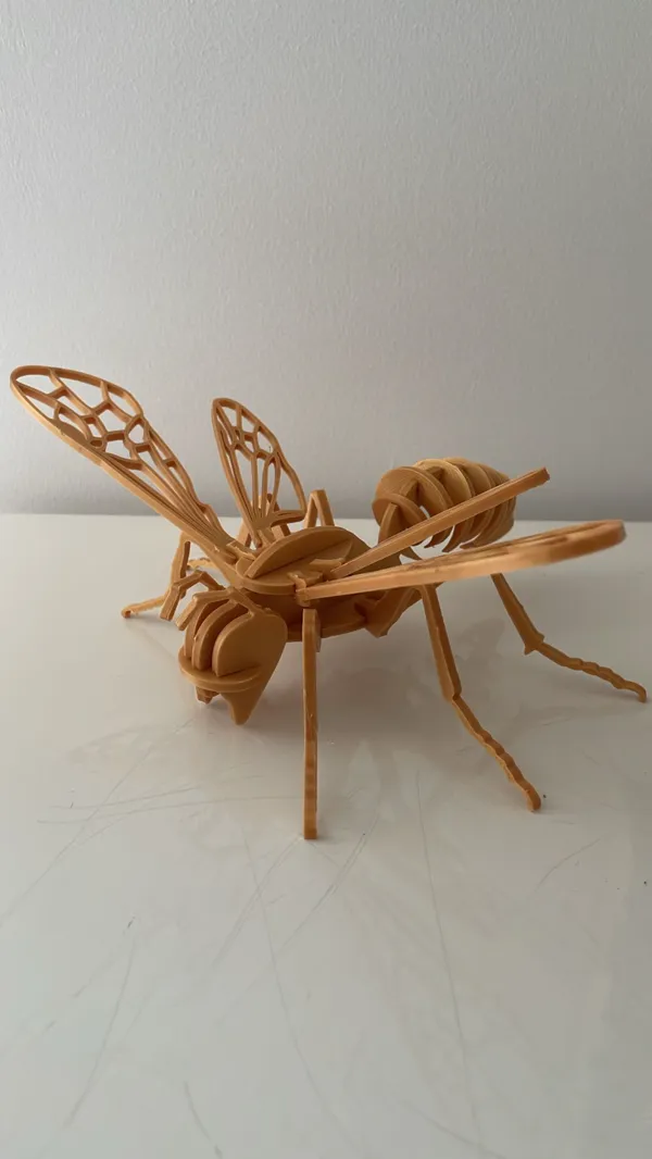https://makerworld.bblmw.com/makerworld/model/US3a3808b8b44608/design/2024-02-26_b03a97e388c8.jpeg