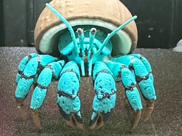 https://makerworld.bblmw.com/makerworld/model/US3a39b0015fab6b/design/2025-05-05_438a45b85d66a8.jpg