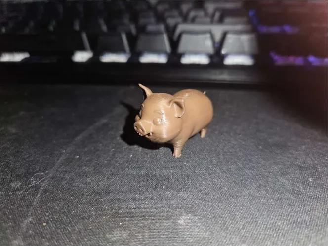 Kleines süßes Schwein