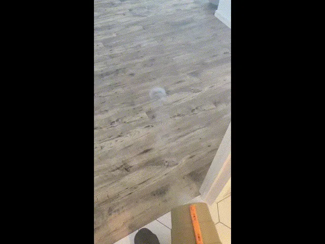 Air Vortex Cannon view 4