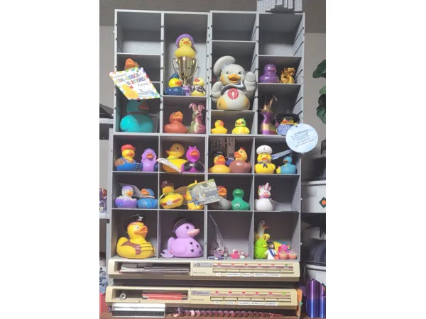 Duck Display Shelves