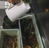 洒水壶