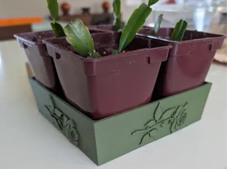 Plant Tray
