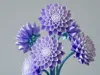 This is a separate flower