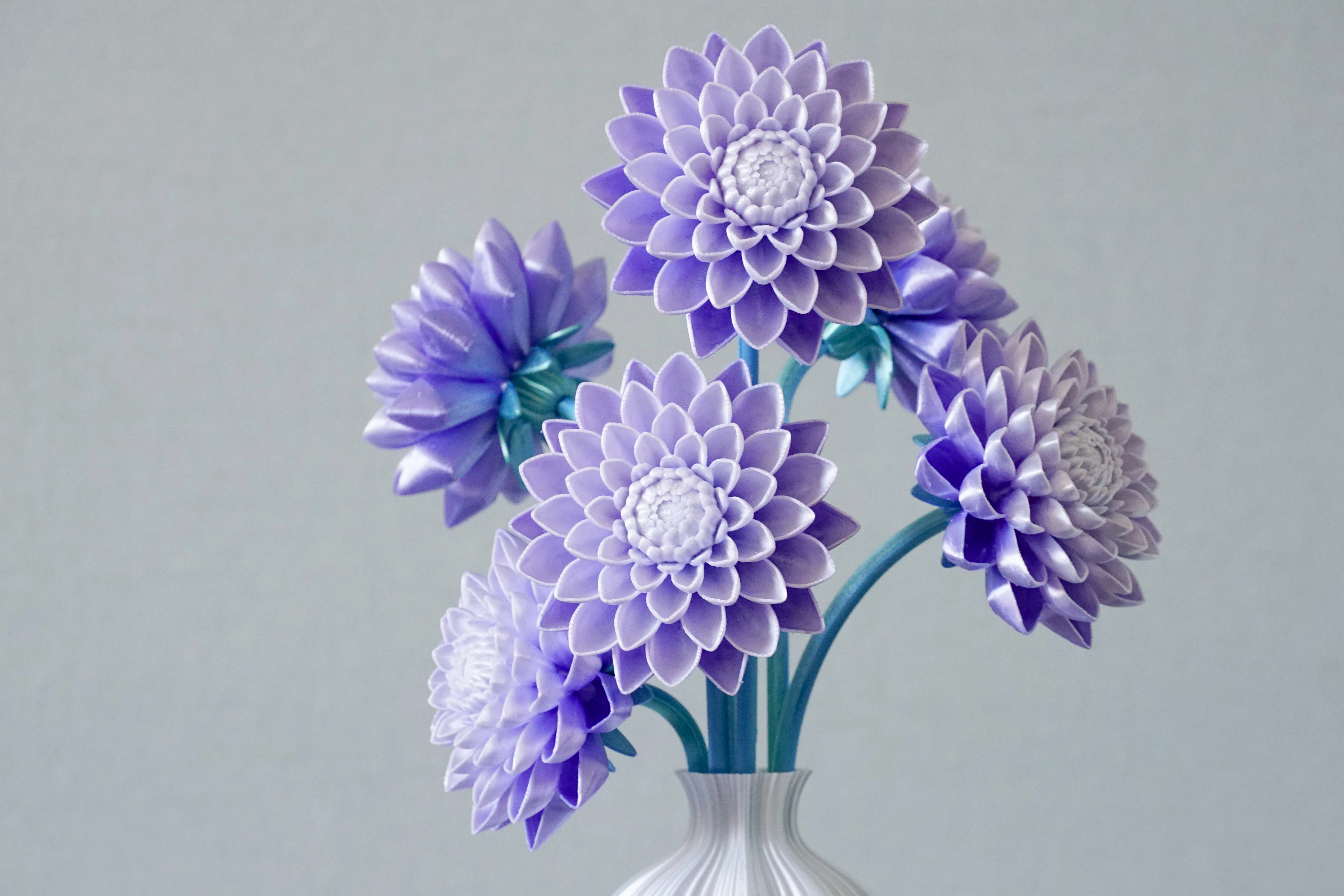 Miniatura 2 do modelo 3D 大丽花