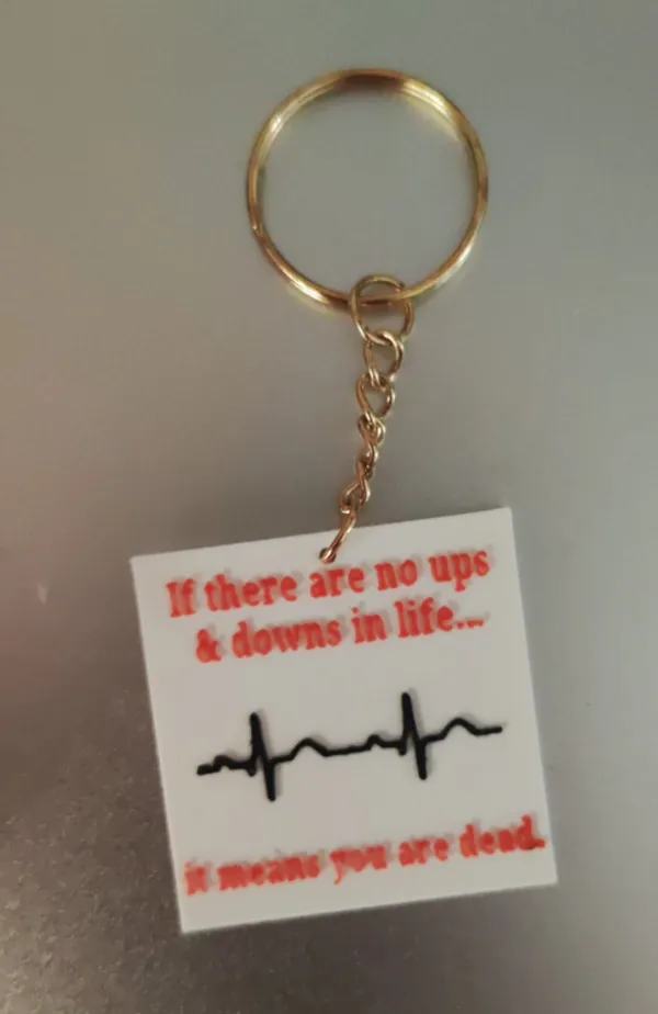 https://makerworld.bblmw.com/makerworld/model/US3a4f73ebbbb8ed/design/2024-06-02_4feb7d53c6bea.jpg