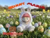 AMS Painted Bunny Mario