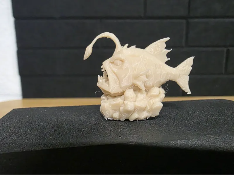 Angler fish