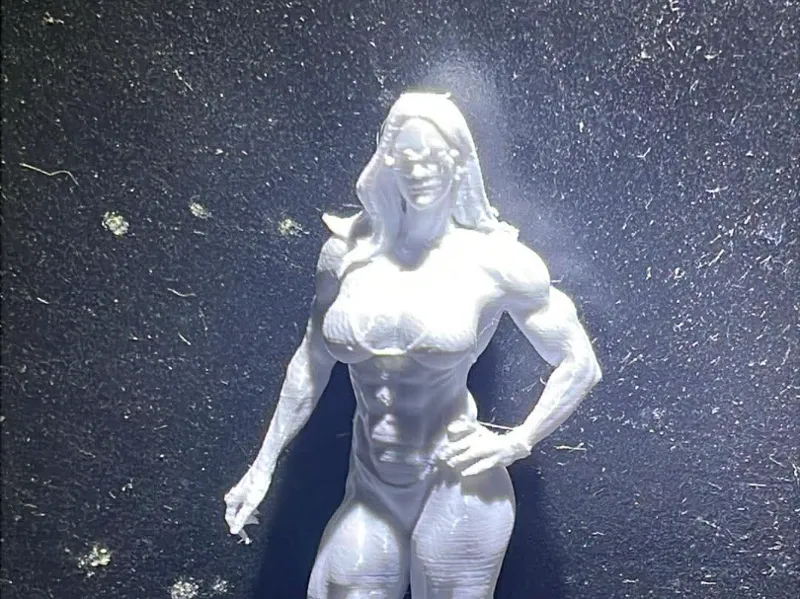 womans bodybuilder champions trophy 