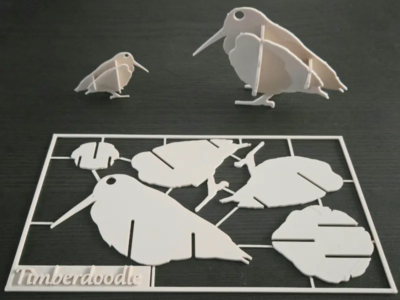 American Woodcock Card Kit