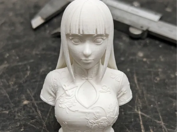 https://makerworld.bblmw.com/makerworld/model/US3a633a8f36c2a8/design/276378681e12c057.png