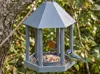 bird feeder 