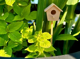 Mini Bird House - decoration for plants or garden