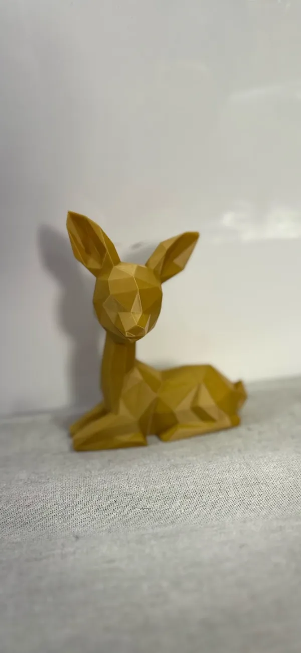 https://makerworld.bblmw.com/makerworld/model/US3a6aec3c454c5e/design/2024-04-21_d42f3eb0132d5.jpeg