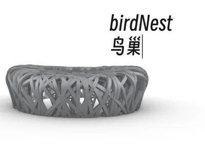 bird‘s nest