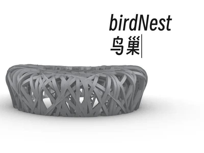 bird‘s nest