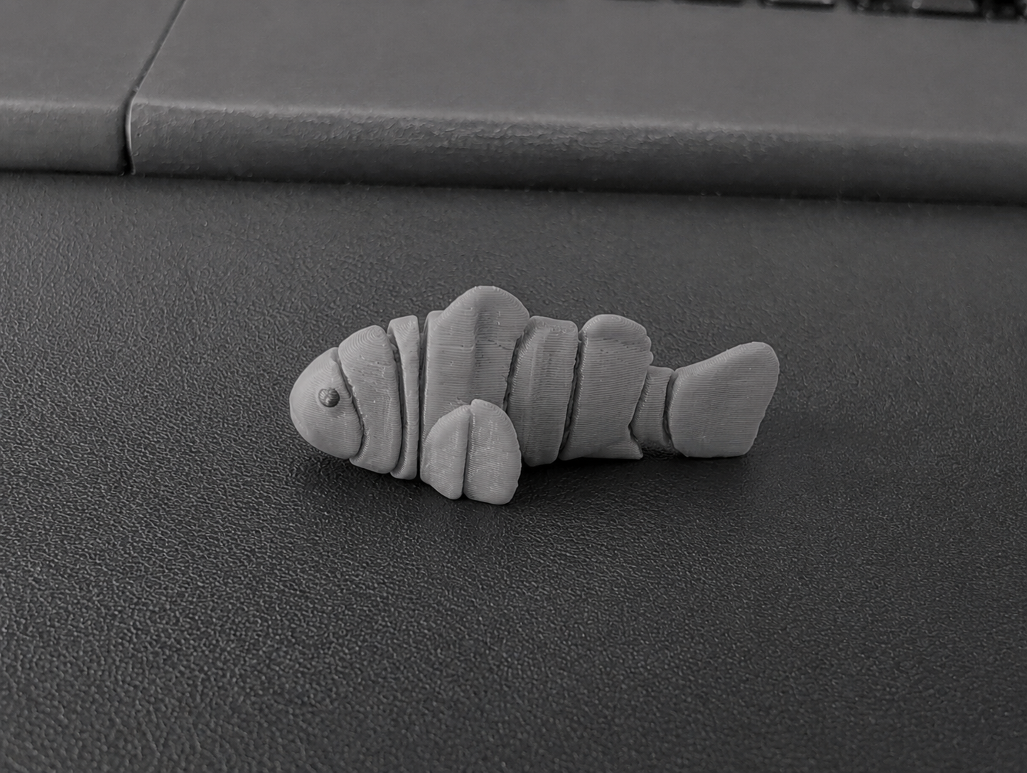 Miniatura 2 do modelo 3D Tiny Clown Fish