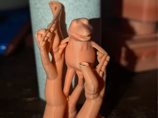 Goofy Kermit