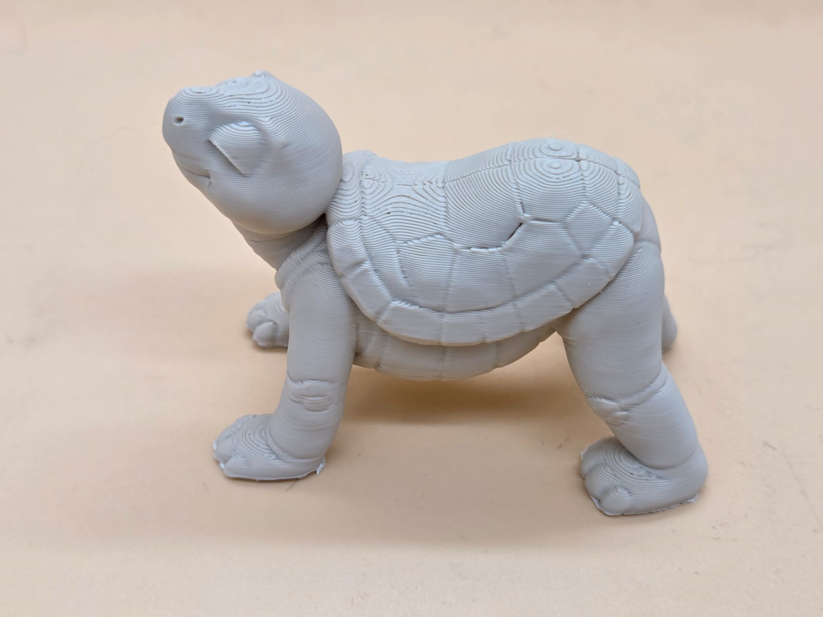 Edgar macht Yoga – Teil 6: Die stolze Schildkröte