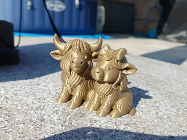 https://makerworld.bblmw.com/makerworld/model/US3a75b386693493/design/2025-09-29_34683d0b6bad18.jpg