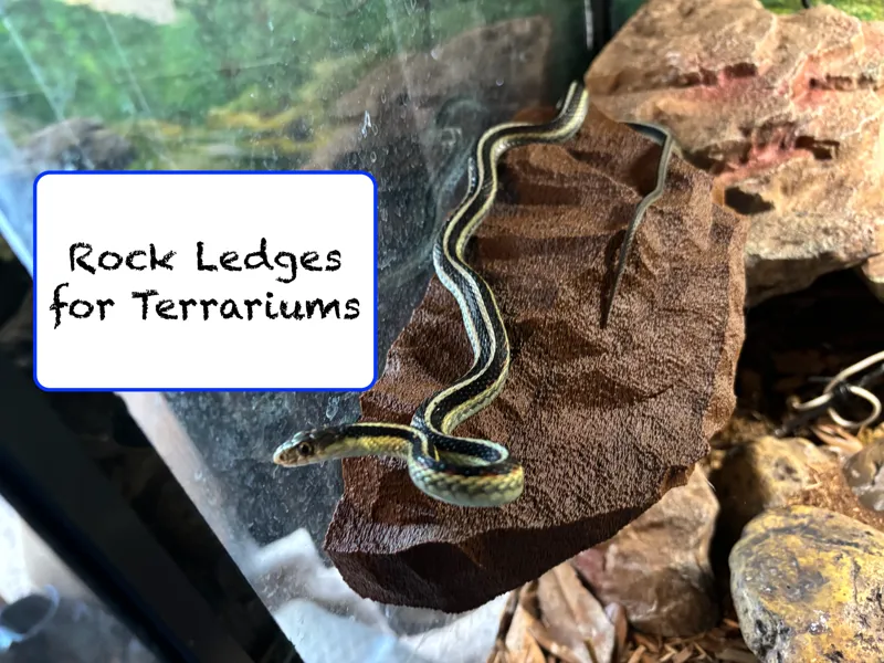 Large Magnetic Rock Ledge for Terrarium