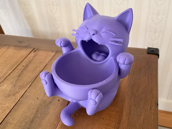 https://makerworld.bblmw.com/makerworld/model/US3a7d94593f01f/design/2025-08-24_cfc638f50fb9a.jpg