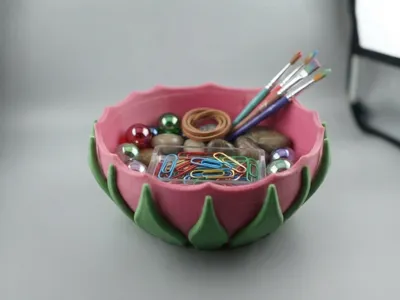 Dragon Fruit Bowl Organizer
