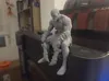 0.2mm layer, 2 walls, 10% infill