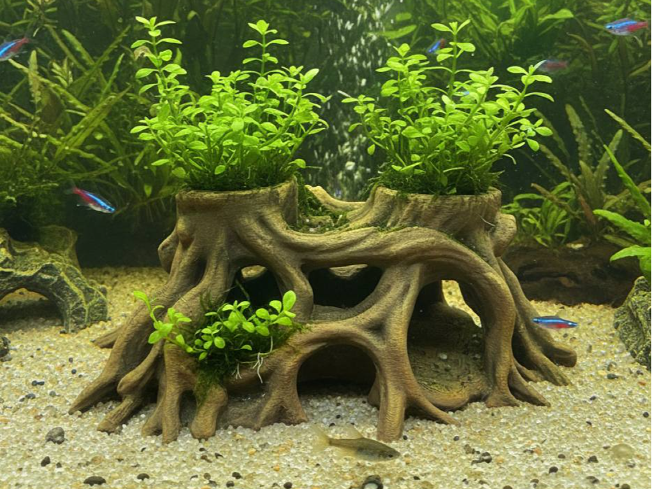 Root Cave Planter