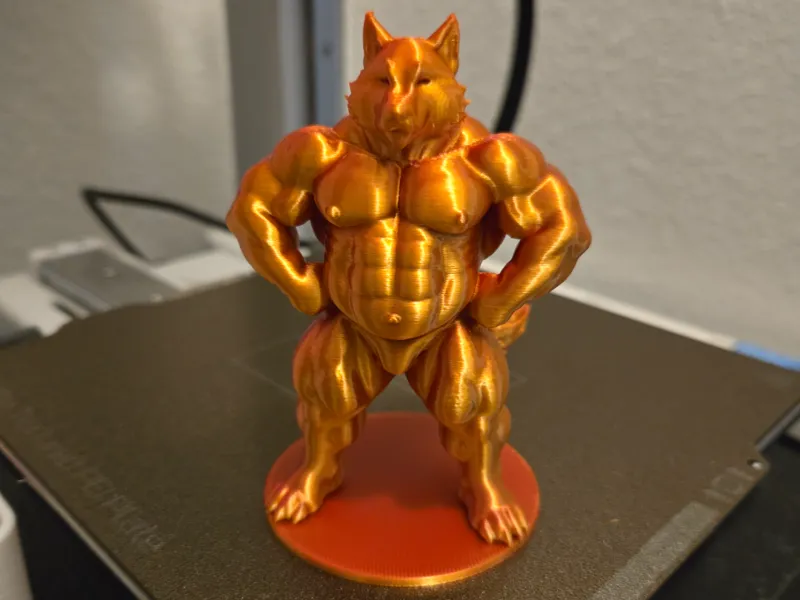xander - front lat spread