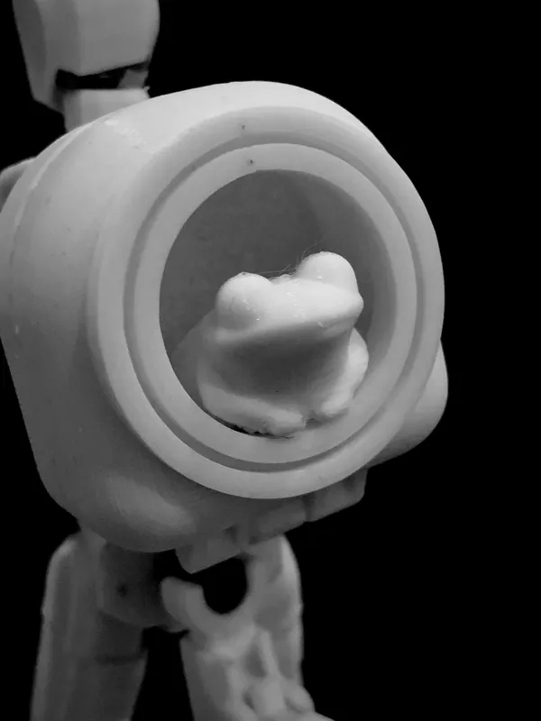 https://makerworld.bblmw.com/makerworld/model/US3a8fba692a95b/design/2024-12-30_70c63b4cd6246.jpeg