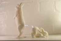 Standing Bunny