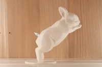 Jummping Bunny 2