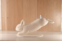 Jumping bunny