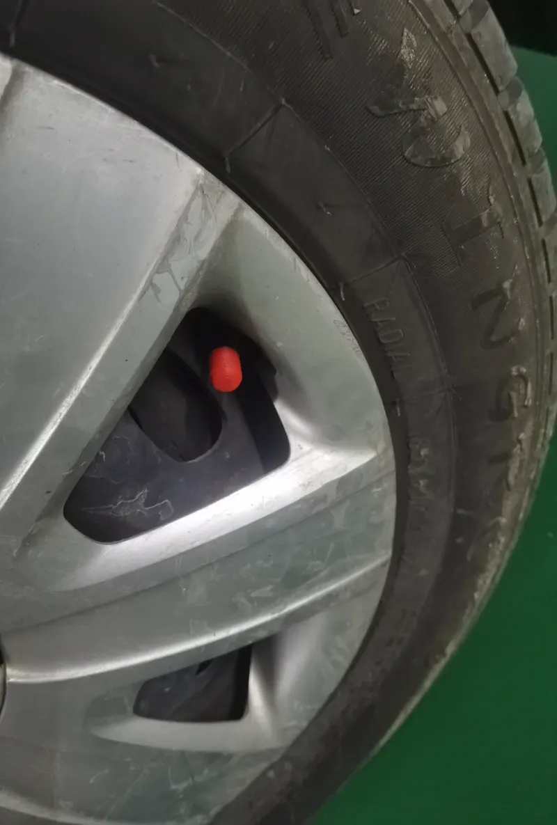 气门嘴堵头Tire valve plugs