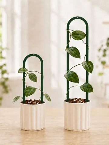 Letrero o emblema decorativo: Minimal Arch Plant Trellis – 2 Sizes — vista de referencia 2