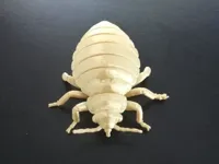 0.2mm layer, 6 walls, 1% infill