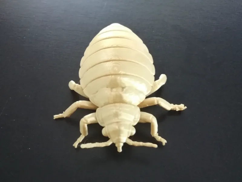 Ploșnița gigant